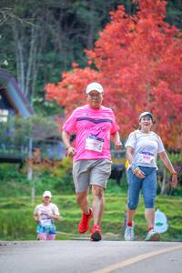 BIB: 067, 8097
                            <button type="button" onclick="openModal(19239984)" class="btn btn-primary btn-sm float-right btn-popup" data-toggle="modal" data-target=".modal-high-quality">
                        <i class="fas fa-shopping-cart"></i> Add to Cart
                    </button>
                                            <button type="button" onclick="isThisMe(19239984, true)" class="btn btn-success btn-sm float-right btn-popup btn-isme hidden" data-toggle="tooltip" data-placement="bottom" title="นี่คือรูปของคุณใช่ไหม คลิกที่นี่เพื่อเอาเข้าอัลบั้ม">
                        <i class="fas fa-plus"></i> Add to album
                    </button>
                    <button type="button" onclick="isThisMe(19239984, false)" class="btn btn-warning btn-sm float-right btn-popup btn-isnotme hidden">
                        <i class="fas fa-ban"></i> Remove from album
                    </button>